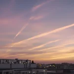 Comment les ailes des oiseaux et des chauves-souris inspirent les technologies du futur, des drones aux avions