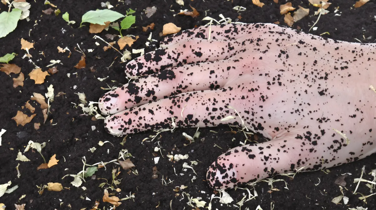 Sol vivant : pourquoi il change tout pour votre jardin potager et vos récoltes Sol vivant : pourquoi il change tout pour votre jardin potager et vos récoltes