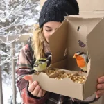 Ne jetez plus vos vieilles boîtes d’œufs : elles attirent et protègent les oiseaux au jardin tout l’hiver